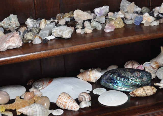 Patrick and the rock collection