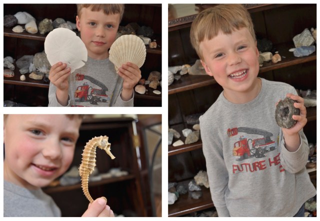 Patrick and the rock collection